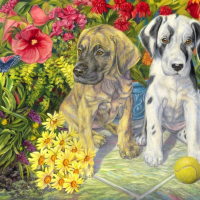 Doi neastâmpărați