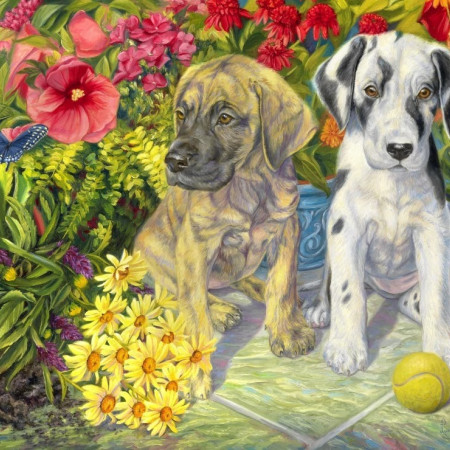 Doi neastâmpărați