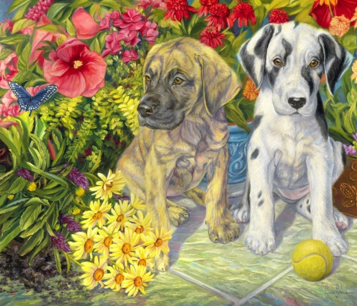 Puzzle - Bluebird - Doi neastâmpărați