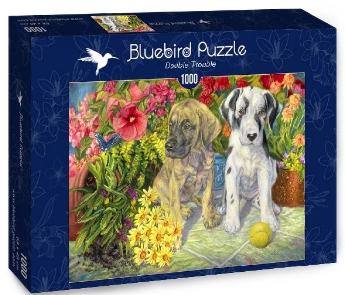 Puzzle - Bluebird - Doi neastâmpărați