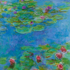 Puzzle - Bluebird - Nenufari