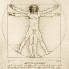 Puzzle - Bluebird - Omul Vitruvian, 1490