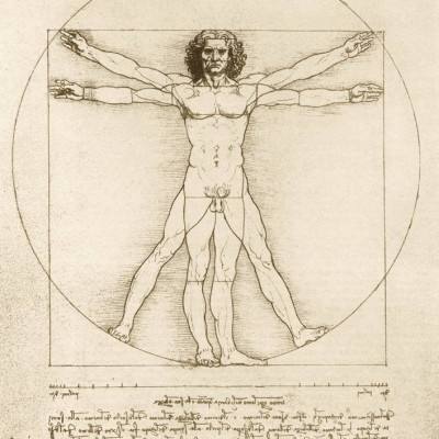 Omul Vitruvian, 1490