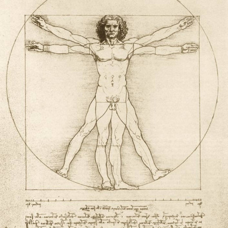 Omul Vitruvian, 1490