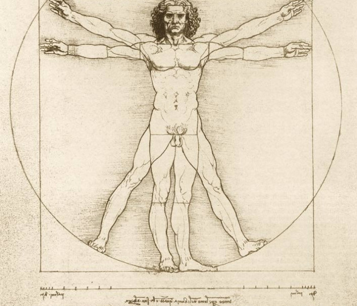 Puzzle - Bluebird - Omul Vitruvian, 1490