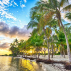 Puzzle - Bluebird - Guadelupa - Plaja Anse Champagne