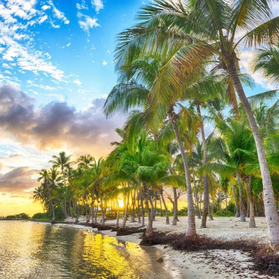 Guadelupa - Plaja Anse Champagne