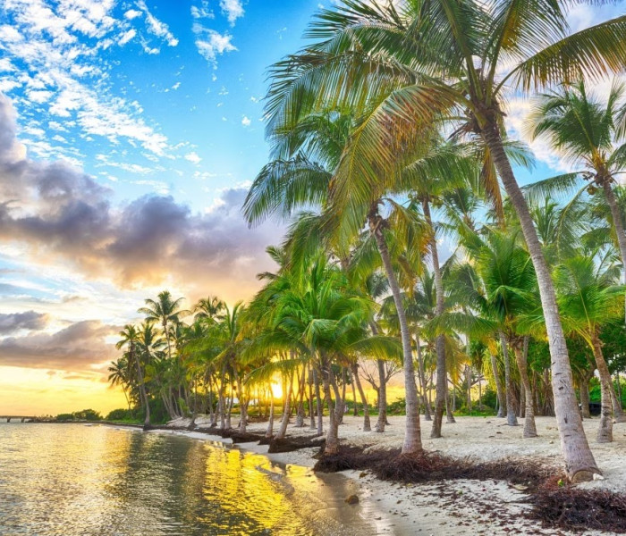 Puzzle - Bluebird - Guadelupa - Plaja Anse Champagne