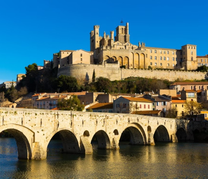 Puzzle - Bluebird - Catedrala Saint-Nazaire din Béziers, Franța