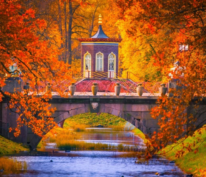 Puzzle - Bluebird - Parcul Ecaterina, Pușkin, Rusia