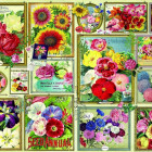 Puzzle - Bluebird - Imagini cu flori