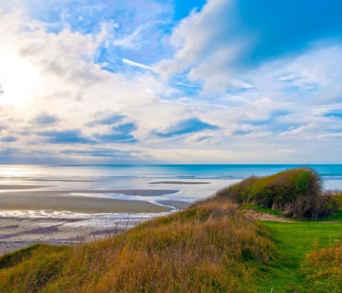 Puzzle - Bluebird - Coasta de Opal, Franța
