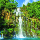 Puzzle - Bluebird - Insula Réunion – Cascadele Aigrettes