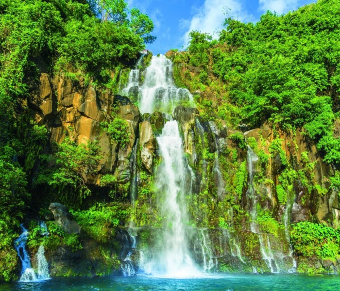 Puzzle - Bluebird - Insula Réunion – Cascadele Aigrettes