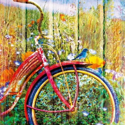 Păsări albastre pe bicicletă