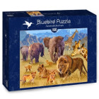 Puzzle - Bluebird - Animale din savană