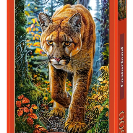 Puma de munte în pădure