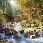 Puzzle - Castorland - Pârâu din pădure