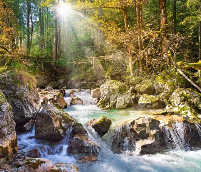Puzzle - Castorland - Pârâu din pădure