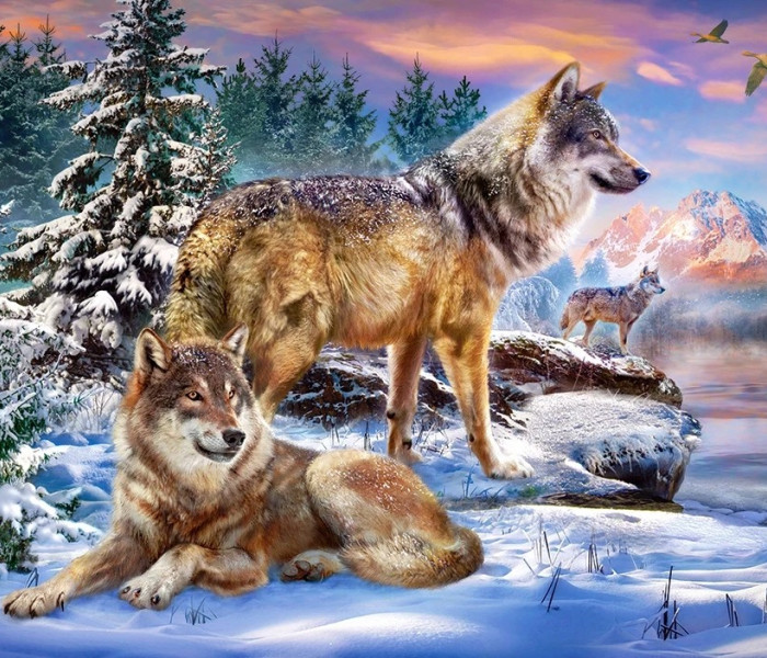 Puzzle - Castorland - Țara Minunilor Lupilor