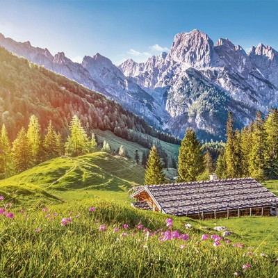 Vară în Alpi