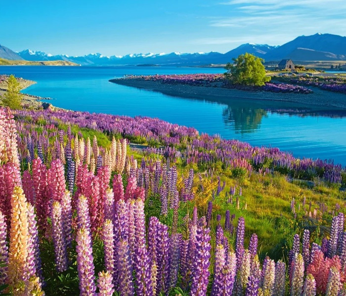 Puzzle - Castorland - Lacul Tekapo, Noua Zeelandă