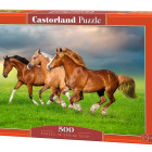 Puzzle - Castorland - Cai în iureșul primăverii