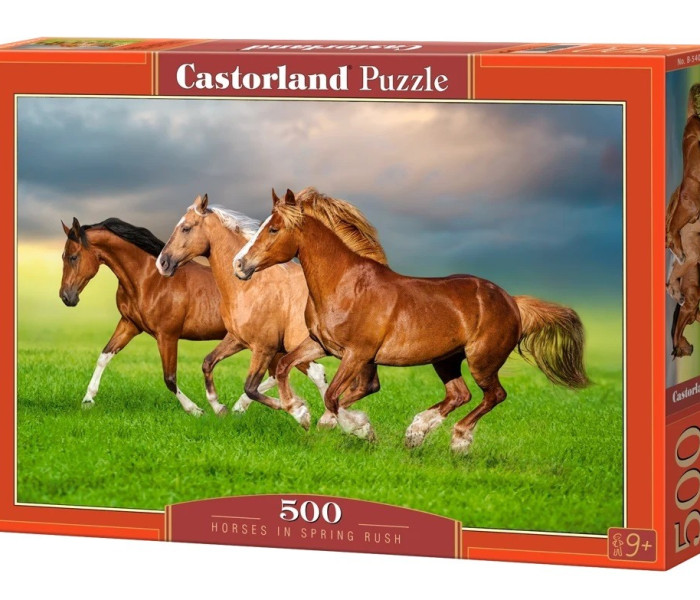Puzzle - Castorland - Cai în iureșul primăverii
