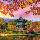 Puzzle - Castorland - Palatul Gyeongbokgung, Seul, Coreea de Sud