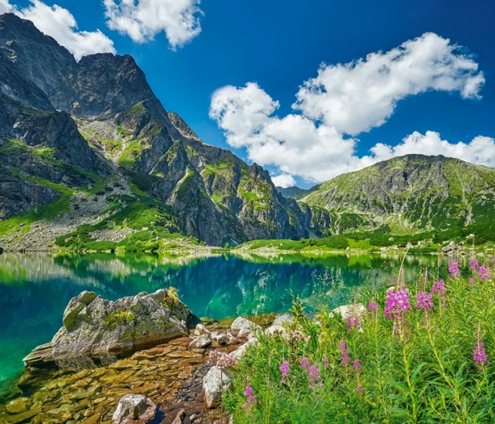Puzzle - Castorland - Czarny Staw pod Rysami, Munții Tatra, Polonia