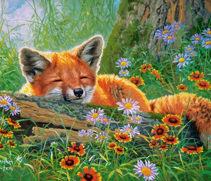 Puzzle - Castorland - Foxy Dreams