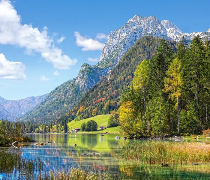 Puzzle - Castorland - Căsuță montană în Alpi