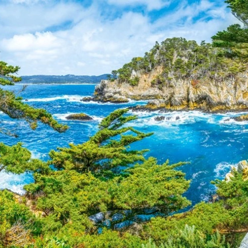 Coasta Californiei