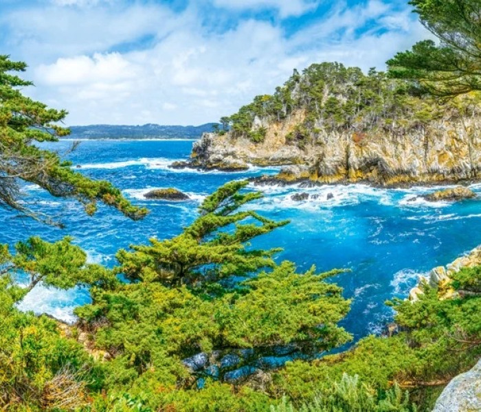 Puzzle - Castorland - Coasta Californiei