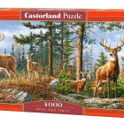 Puzzle - Castorland - Familie regală de cerbi
