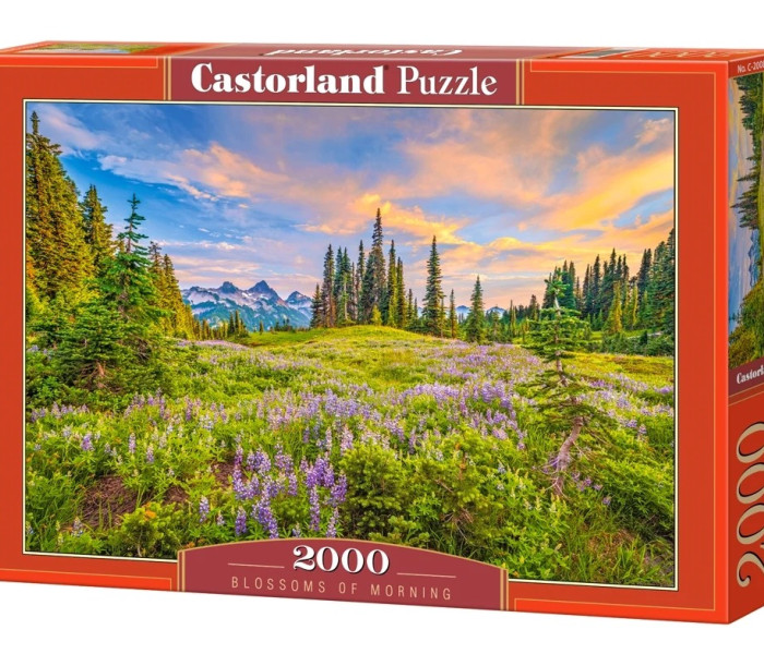 Puzzle - Castorland - Flori de dimineață