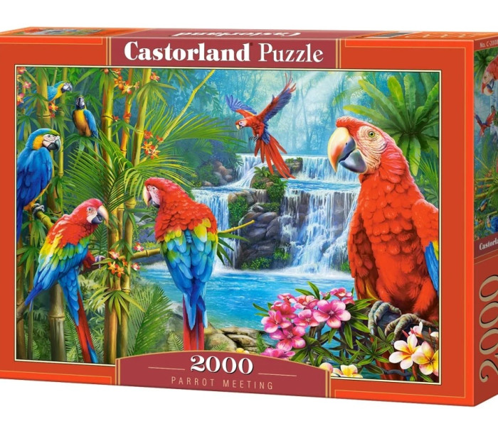Puzzle - Castorland - Întâlnire cu papagali