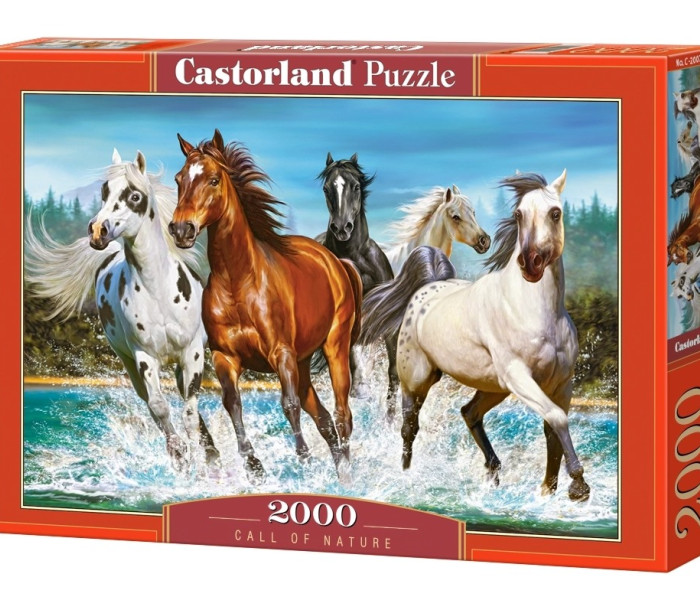 Puzzle - Castorland - Chemarea naturii