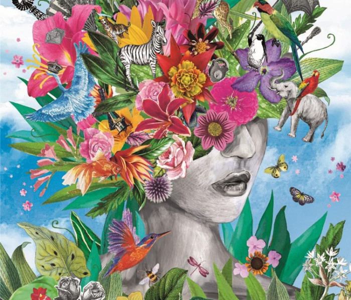 Puzzle - Clementoni - Cap în junglă