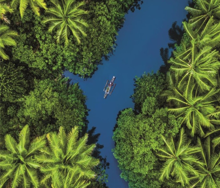 Puzzle - Clementoni - Tropice de la înălțime