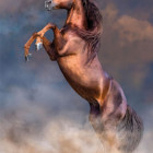 Puzzle - Clementoni - Armăsar roșu mare