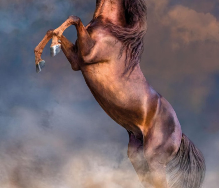 Puzzle - Clementoni - Armăsar roșu mare