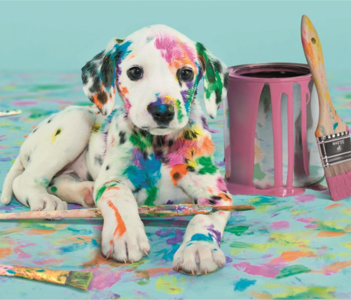 Puzzle - Clementoni - Dalmatin amuzant