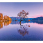 Puzzle - Clementoni - Jazero Wanaka, Nový Zéland - Puzzle panoramic