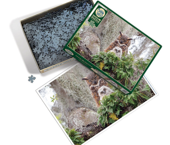 Puzzle - Cobble Hill - Bufniță mare
