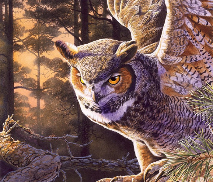 Puzzle - Cobble Hill - Vânător de seară