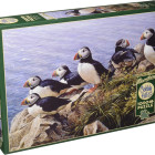 Puzzle - Cobble Hill - Zi clară