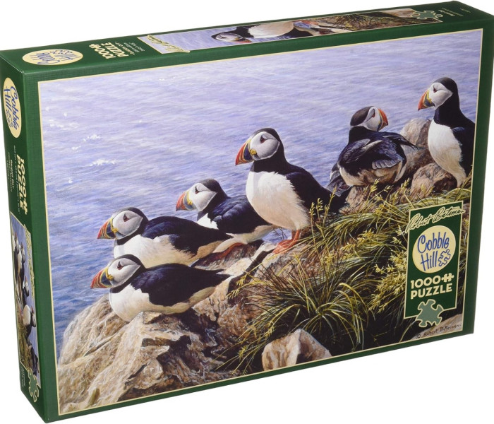 Puzzle - Cobble Hill - Zi clară