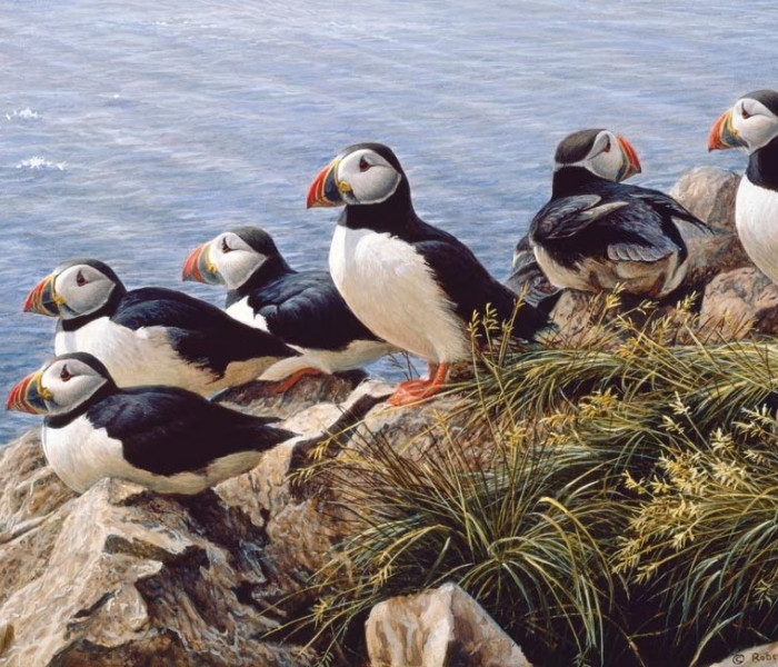 Puzzle - Cobble Hill - Zi clară