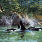 Puzzle - Cobble Hill - Orca